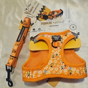 Disney Sassy Meow Peanuts Woodstock Harness, Collar and Leash Set (S)